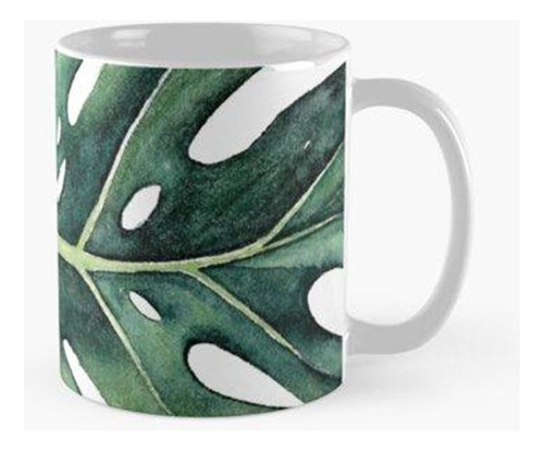 Taza X4 Zoom Monstera Calidad Premium