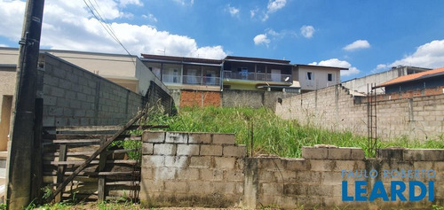 Imagem 4 de 11 de Terreno - Jardim Nova Palmares Ii - Sp - 635218
