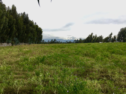Imagen 2 de 10 de Vendo 4 Ha Planas En Pastocalle, Cotopaxi