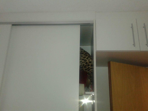 Imagem 21 de 26 de O Mais Bonito Apartamento 2 Dormts. Com Sacada Fechada C Vidro, Linda Vista Ótimo Local! - Ap0763