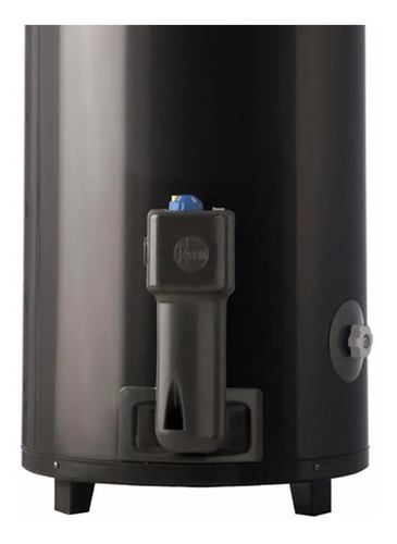 Imagen 4 de 10 de Termotanque A Gas Natural Rheem 80 L Tgnp080rh Conexión Sup.