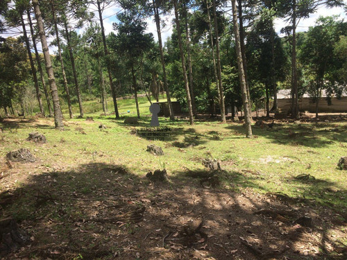 Chácara A Venda No Bairro Centro Em Bocaiúva Do Sul - Pr. - 406-1