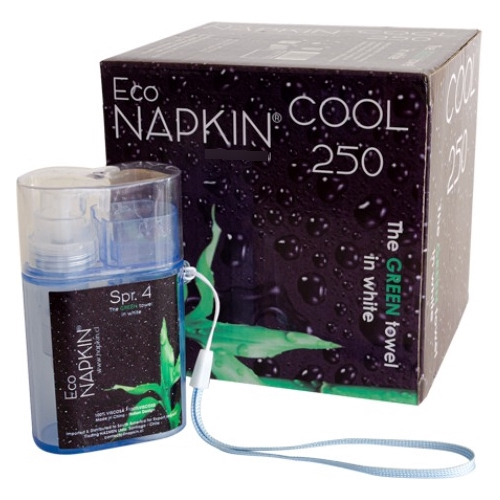 Pack Cool 250 (box 250 Un.) Mas Dispensador Eco Napkin