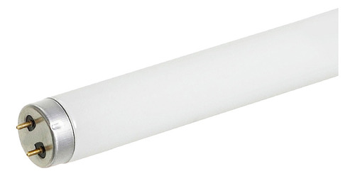 Lampada Fluorescente Tubular 18w Branco Frio P/ Reator 60cm