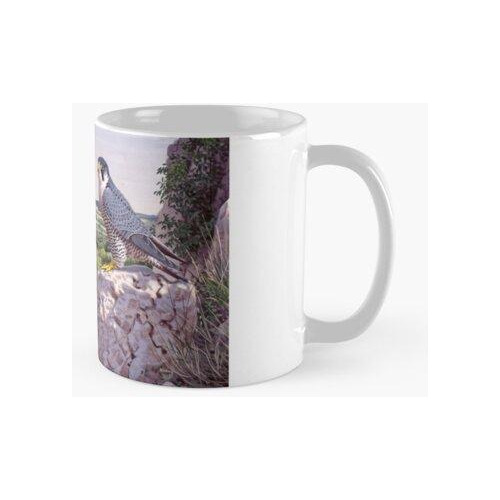 Taza Halcón Peregrino Calidad Premium