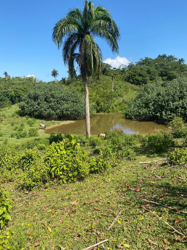 En Venta Terreno 191,000 Metros, Las Guazaras, Samana (caballos)