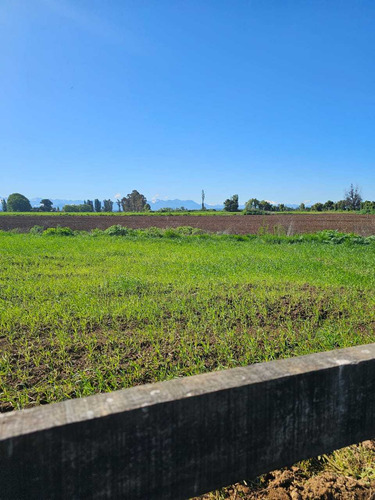 Parcelas En San Gregorio (92608)