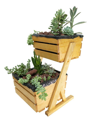 Mini Cultivo Vertical Suculentas