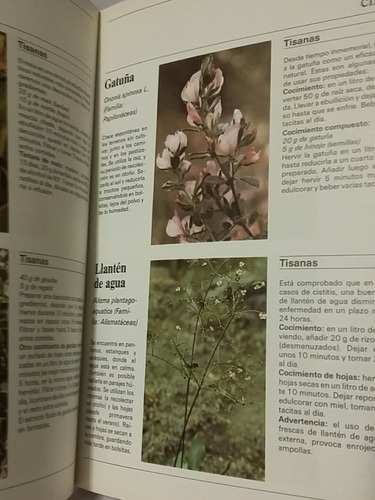 Tisanas Y Plantas Medicinales, Guía De Eduard José, Exc!! (Usado)