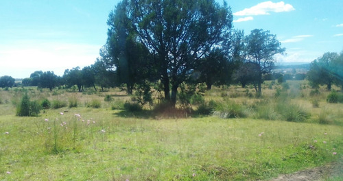 Tlaxcala , La Trasquila, Atlangatepec, Terreno, Venta