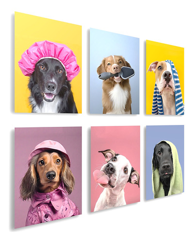 Set  De 6  Cuadros   Pet Shop Veterinaria Mascotas Perros