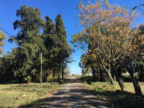 Terreno En Condominio Villa Elvira, La Plata