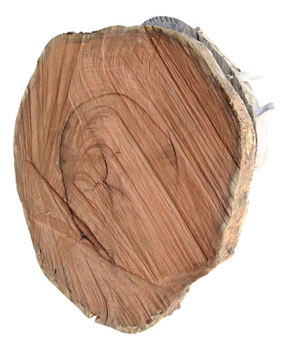 Rodajas Madera Tronco Grandes