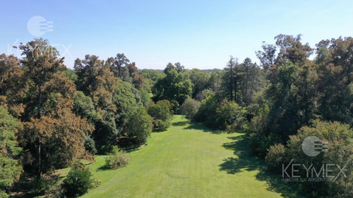 Campo - Villa Elisa