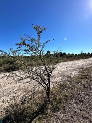 Venta De Terreno En Las Sierras De Cordoba