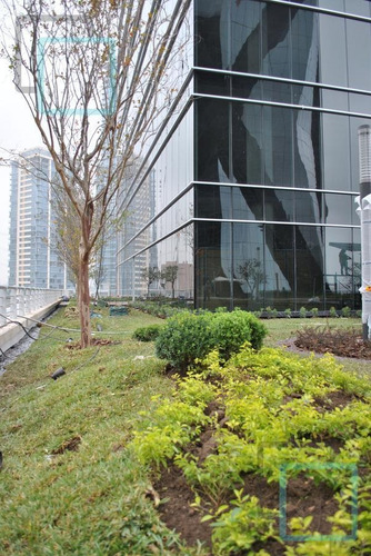 Imagen 5 de 29 de Oficina En Renta Torre Xii En Valle Oriente Zona San Pedro Garza García
