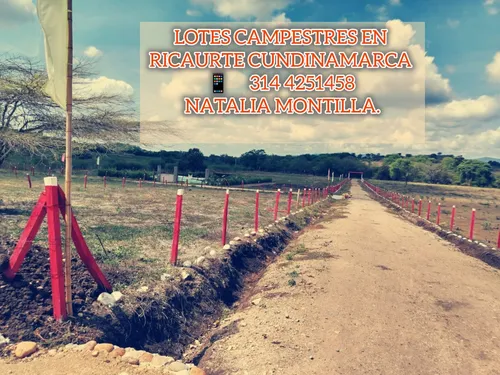 Venta De Lotes Planos En Ricaurte Cundinamarca.