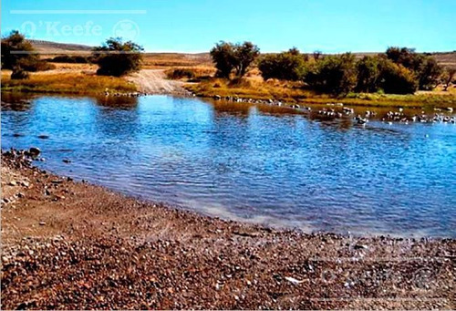 Imagen 15 de 24 de Campo De 2400 Has En Venta En Bariloche - Patagonia Argentina - Fly Fishing