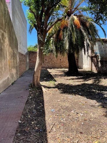 Imagen 3 de 3 de Galpón - Villa Celina