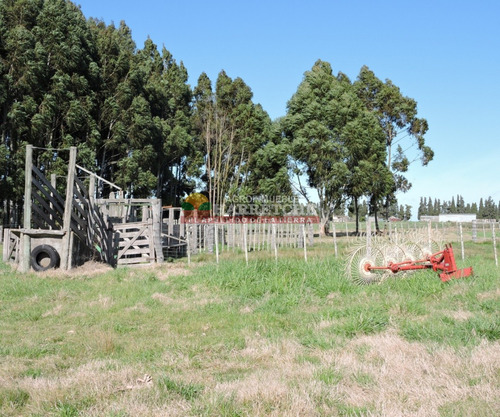 Campo En Venta 18 Has Canelones, Con Todas Las Instalaciones!