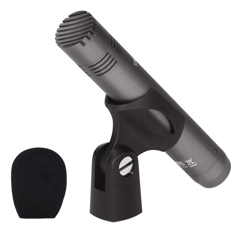 Micrófono De Condensador Profesional Takstar Cm-60 Xlr