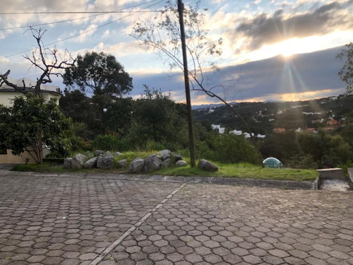 Imagen 6 de 6 de Terreno Venta En Condado De Sayavedra
