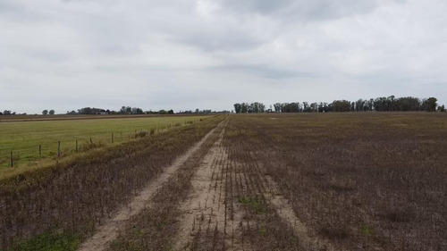 33 Has Agricolas En Venta - Localidad De Torres - Oportunida