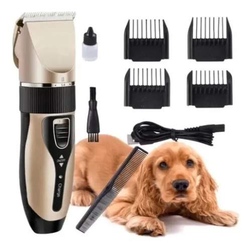 Kit Completo Para Pets: Aparador, Secador E Bebedouro Filtro Dourado