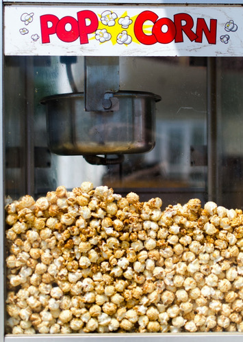 Maíz Palomero Mushroom Hongo 20 Kg