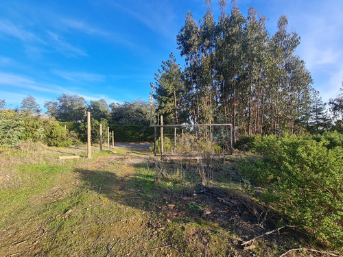 Linda Parcela De 5000 M2, Rol Propio,luz Y Agua