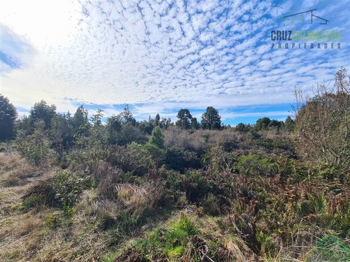 Imagen 7 de 10 de Agrícola En Venta En Puerto Montt