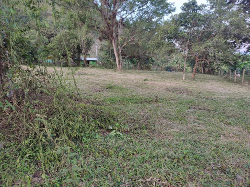 Lote Campestre Verdeda El Carmelo La Plata Huila