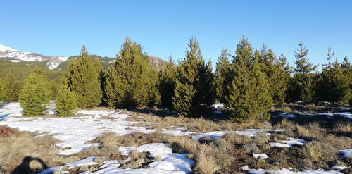 Doble Terreno Apto Emprendimiento Turistico A Metros Del Río Meliquina