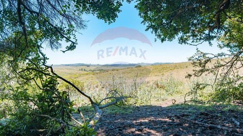 Chacras En Venta Ruta 39 San Carlos - Oportunidad!
