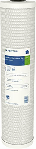 Pentek Cbc-20bb Carbon Block Filter Cartridge, 20  X 4-5/8 ,