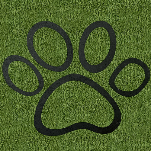 Almohadilla Lavable Para Orina De Perro, 168cmx183cm