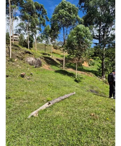 Rhbr-12729 (lote San Vicente Vda Chaparral)