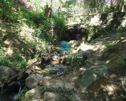 Imagem 13 de 30 de Sitio - St00268 - 69734447