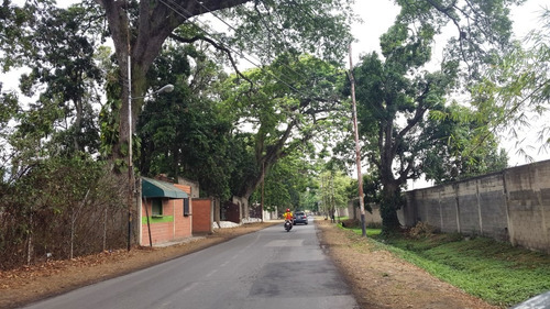 ** Josefina Toledo: Terreno Multifamiliar En Venta, San Diego, Al Lado La Casa De Los Profesores Universitario, 2042,70m², Vialidad En Cemento, Agradable Clima, Anteproyecto