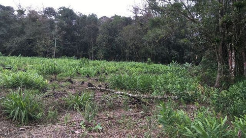 Ótimo Sítio No Jardim Mambu, Em Itanhaém