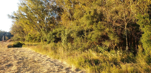 Imagen 17 de 21 de Venta En Estancia El Aduar Club De Chacras 2 Has Bosque Y Llano, Con Mejoras