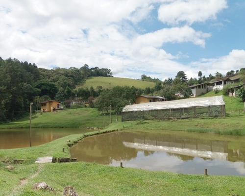 Imagem 6 de 30 de Fazenda Bem Localizada À Venda Em Juquitiba. - 15 - 32982853