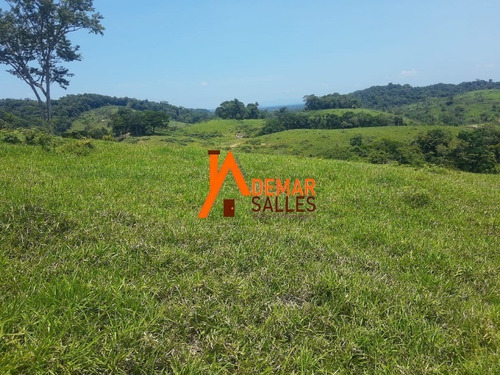 Imagem 7 de 30 de Fazenda - Fa00009 - 70715964