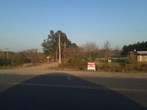 Imagen 2 de 3 de Terreno A. Leyes, Lote 20x175, 3500 Mt2. Al Este, Km 19