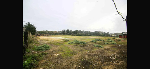 Venta Terreno - Sitio 19594mts Pichilemu
