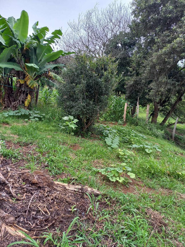 Imagem 10 de 30 de Chácara 28.340m2, Rica Em Água Com Açude, Árvores Frutíferas, Casa Sede Com 182m2, 2 Dormitórios, 1 Suíte, Curral, Pomar, Pasto, Poço Caipira - Ch00201 - 70578843