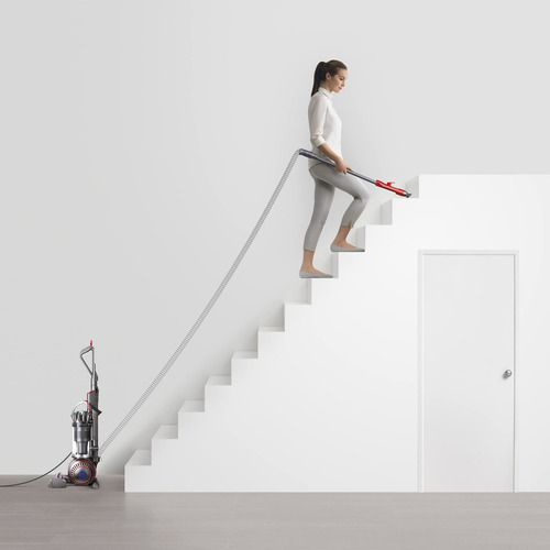 Aspirador vertical Dyson Ball Animal 3