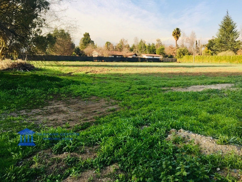 Excelente Terreno En Lo Pinto