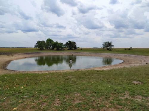 Imagen 10 de 15 de Hato En Venta En Elorza, Apure