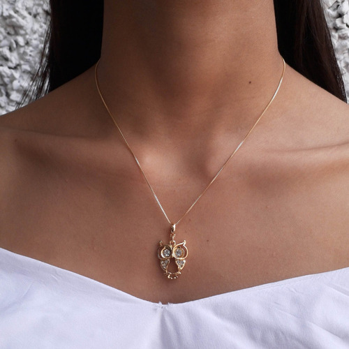 Colar Pingente Coruja 60cm Banhado A Ouro 18k Premium Cor Dourado